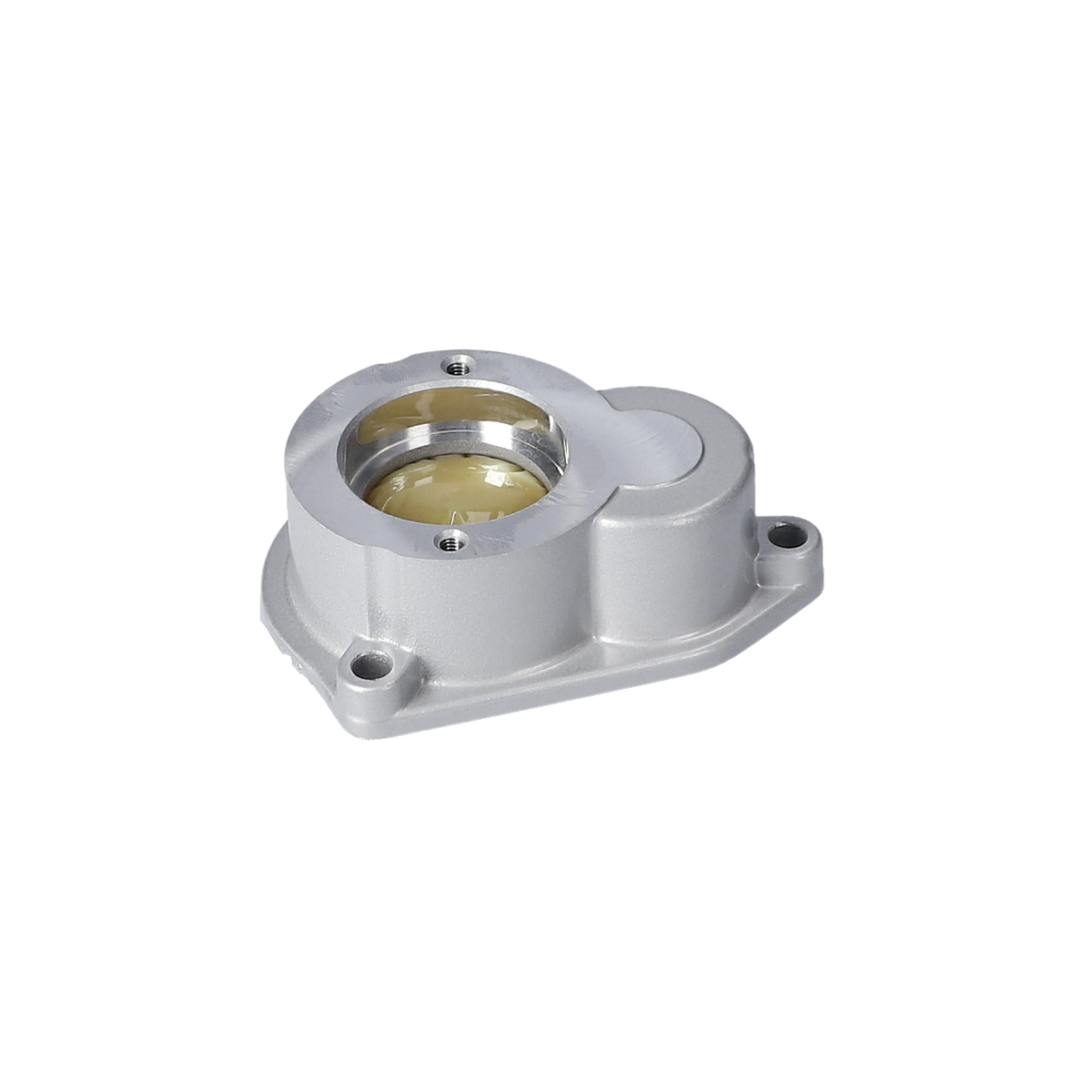 Şanziman Kasasi (Gear Box) (1609B02307)