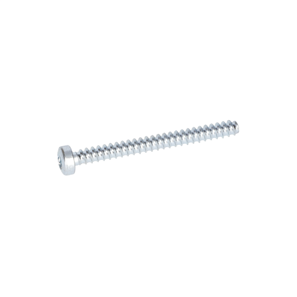 Torx Mercimek Başli Vida (Torx Oval-Head Screw) (3603435057)