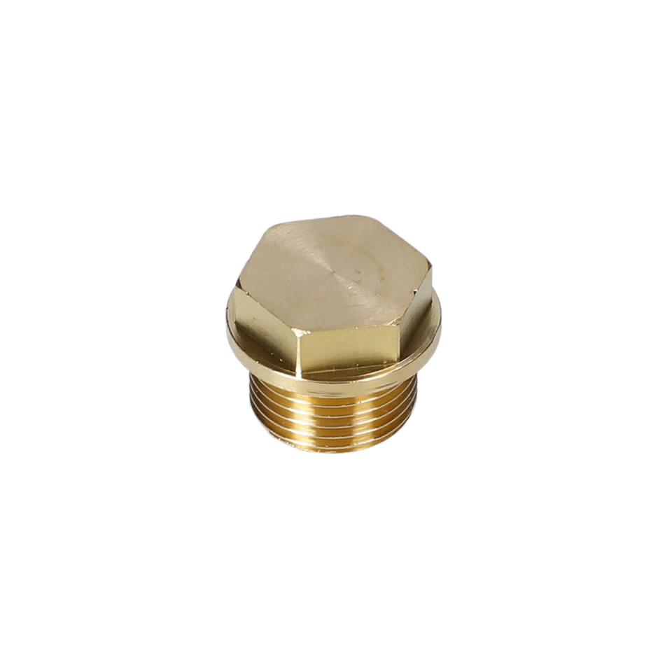 Tapa (Plug) (F016L72252)