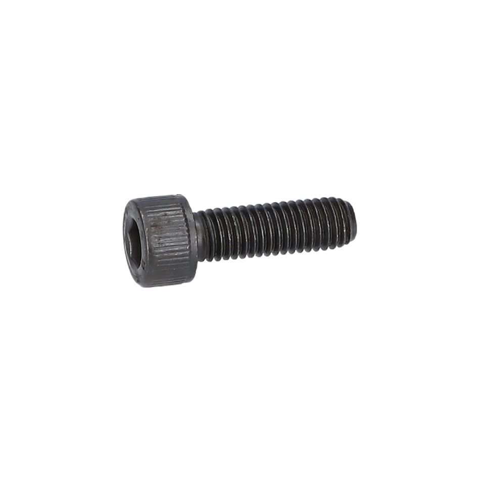 Alen Vida (Hex Socket Head Cap Screw) (2910400244)