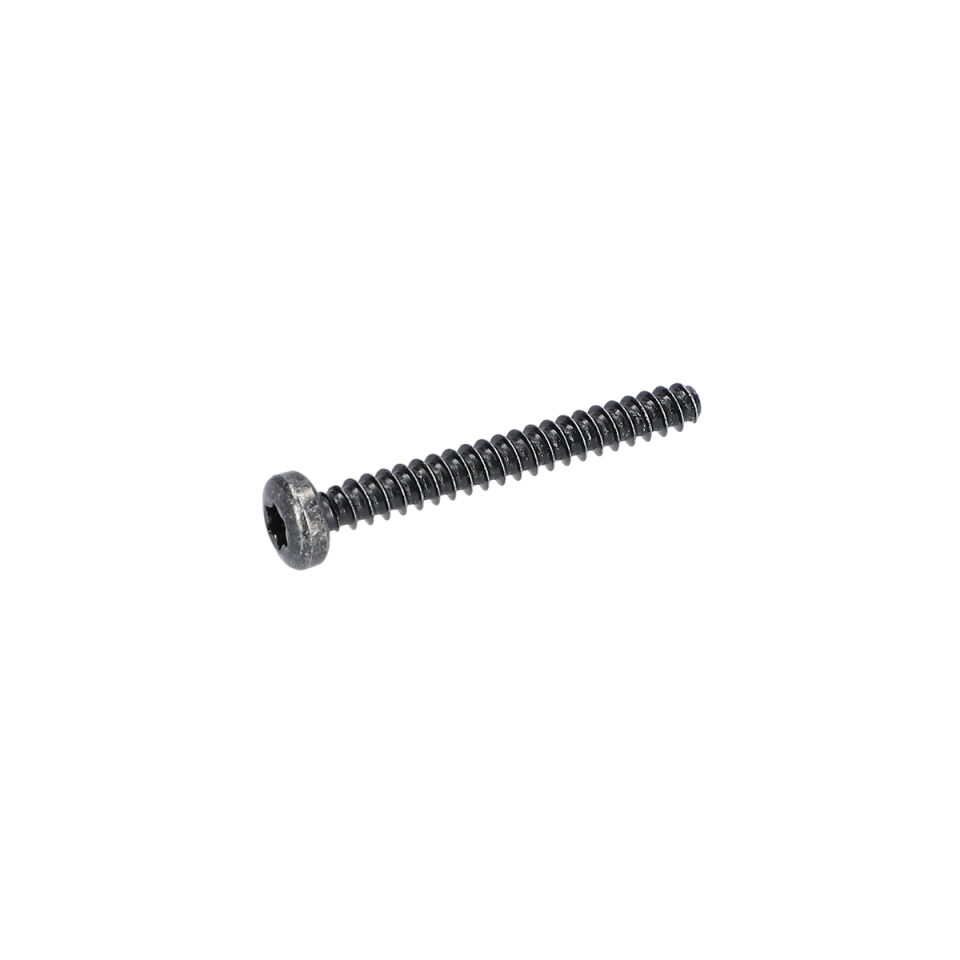 Torx Mercimek Başli Vida (Torx Oval-Head Screw) (1619P09645)