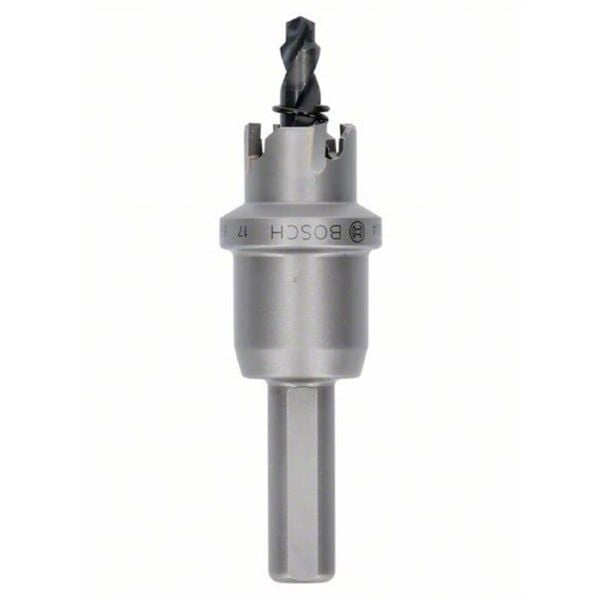 Bosch Tct Elmas Uçlu Panç 17Mm - 2608594128